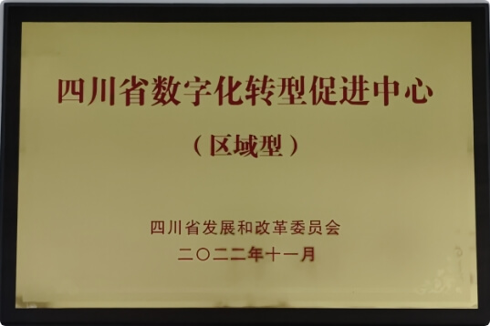 四川省数字化转型促进中心（区域型）